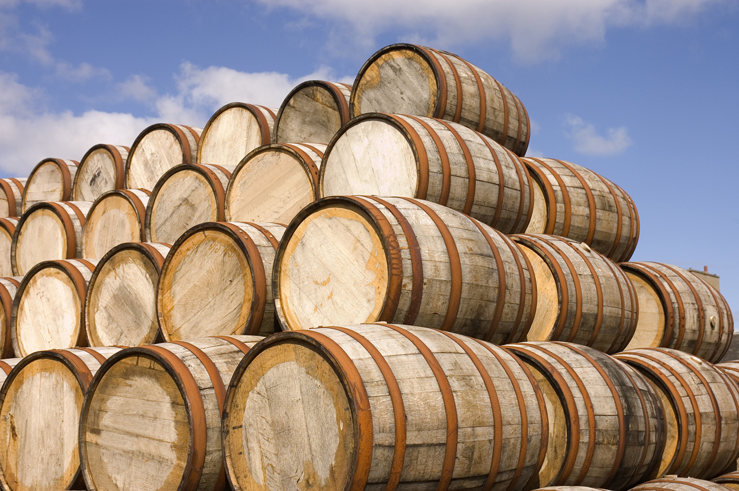 caskx-invest-in-whisky-casks-from-leading-distilleries